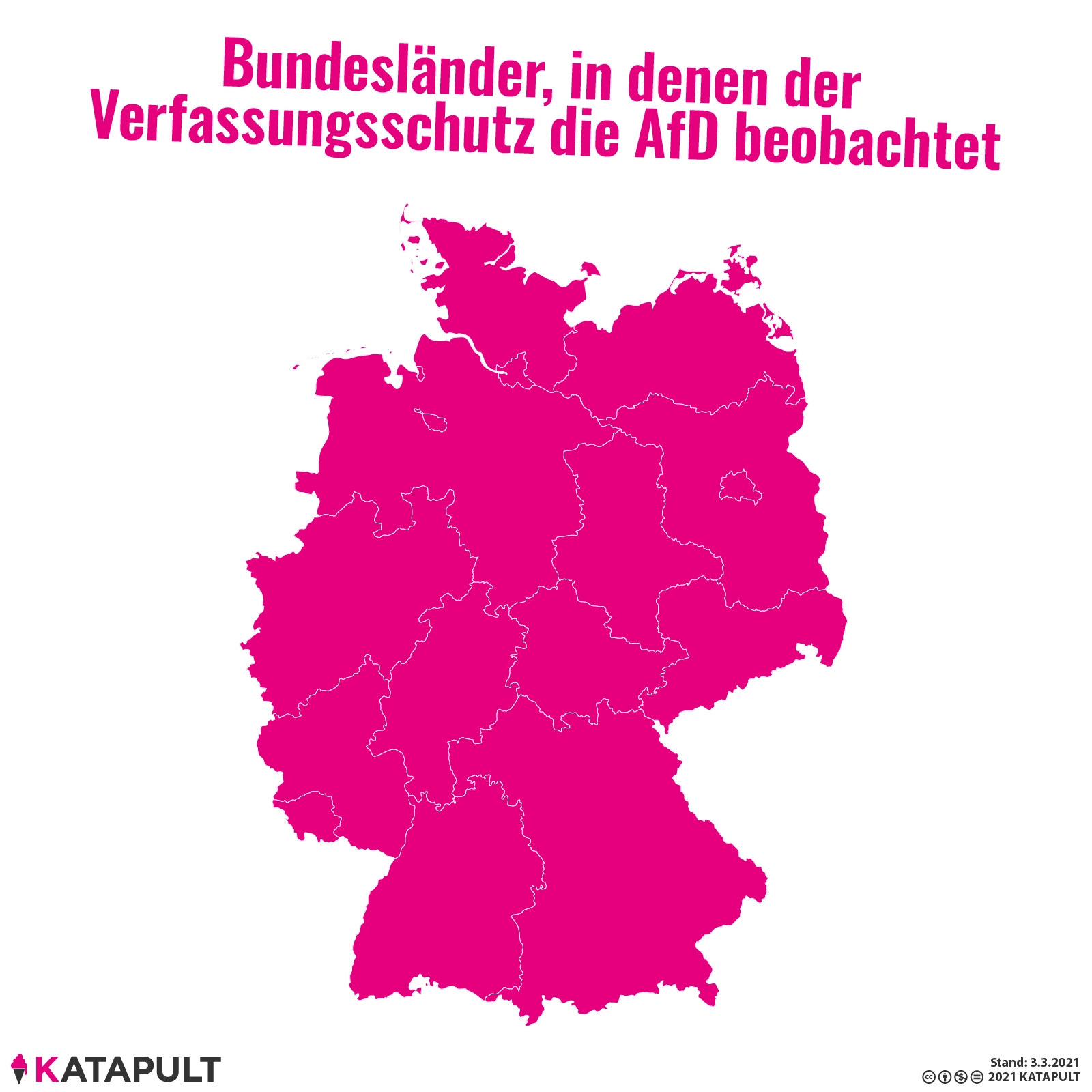 Verfassungsschutz beobachtet AfD bundesweit