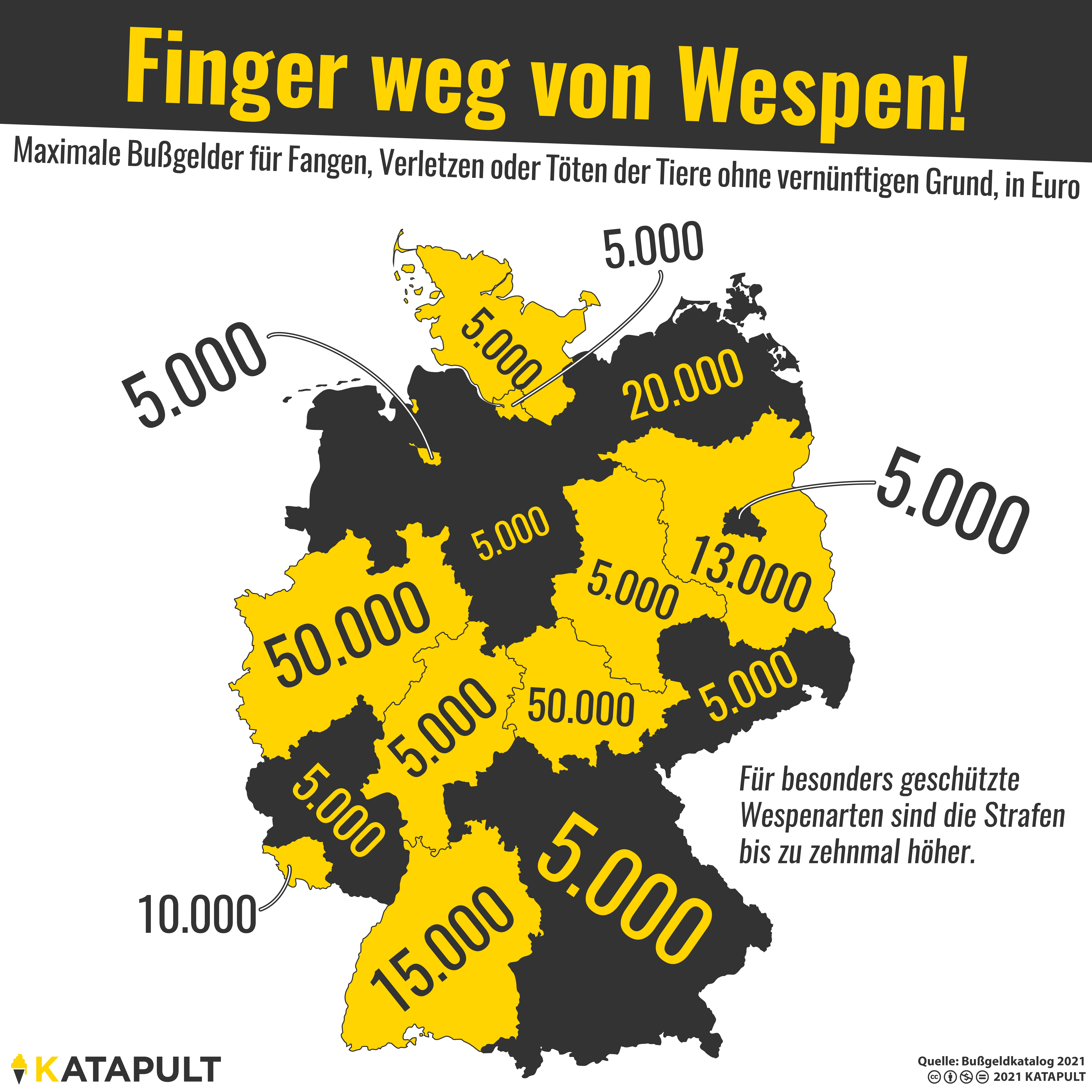 Wespentöten verboten