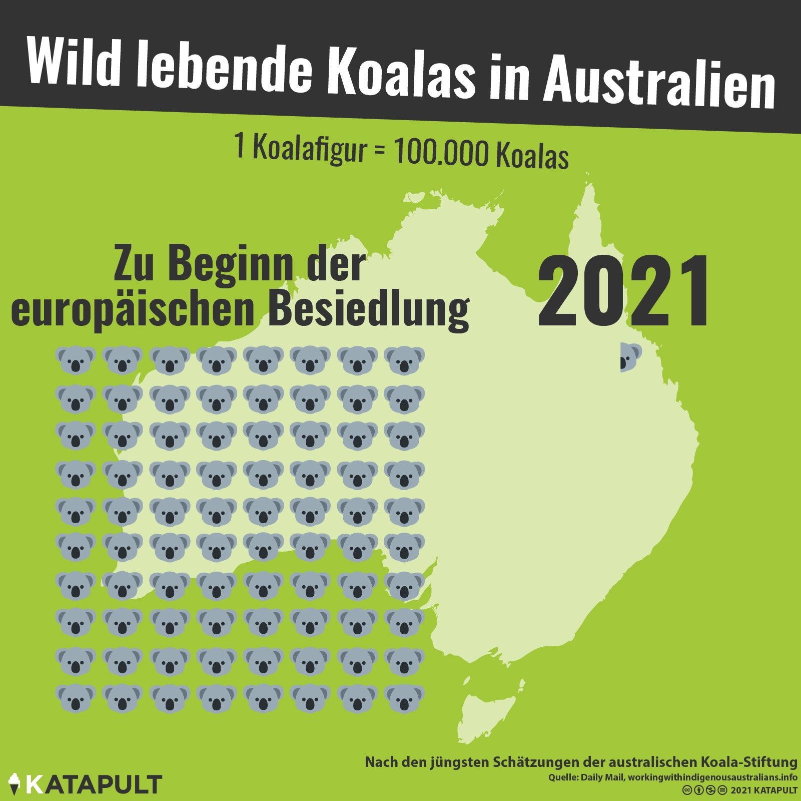 Wilde Koalas sterben aus