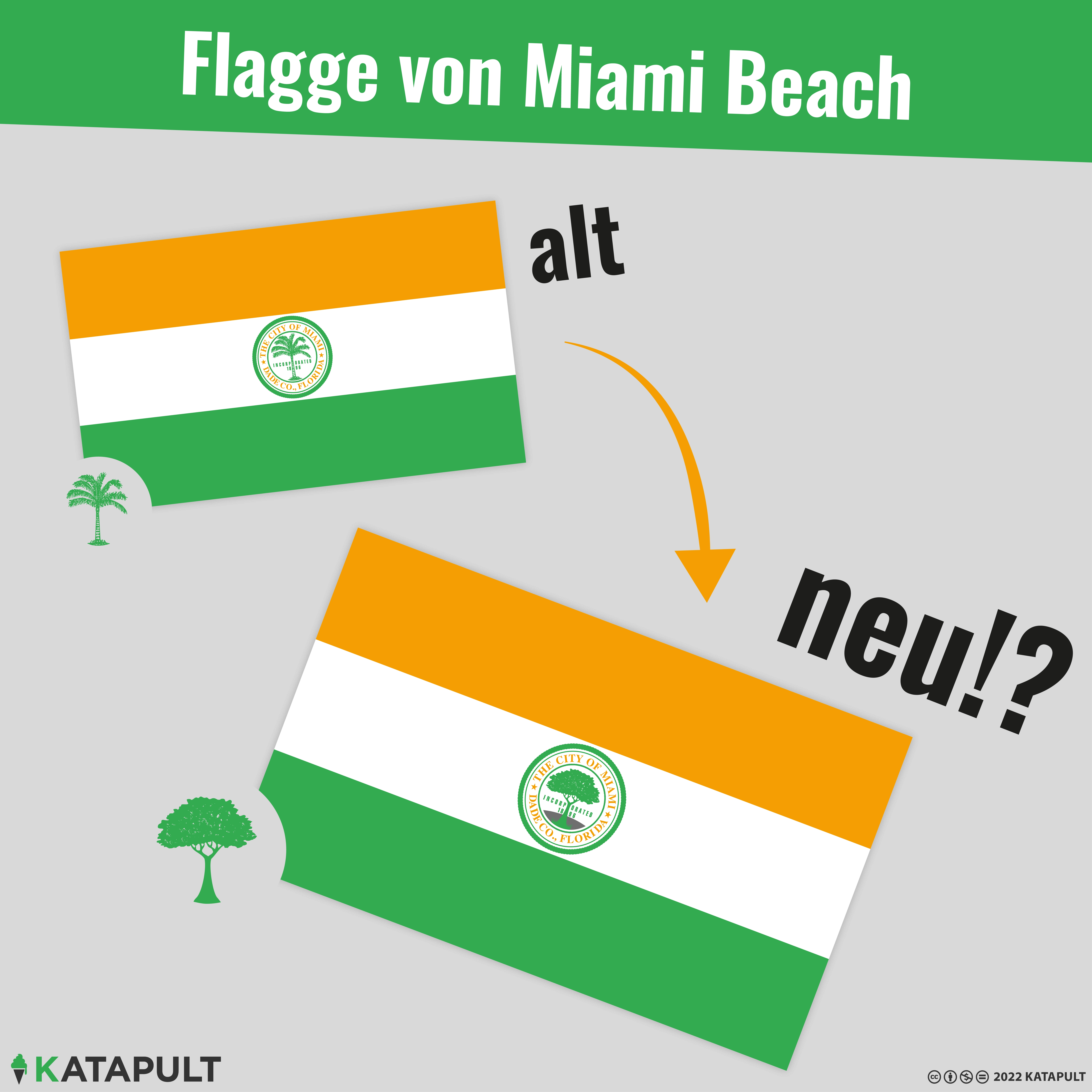 Zu viele Palmen  in Miami Beach