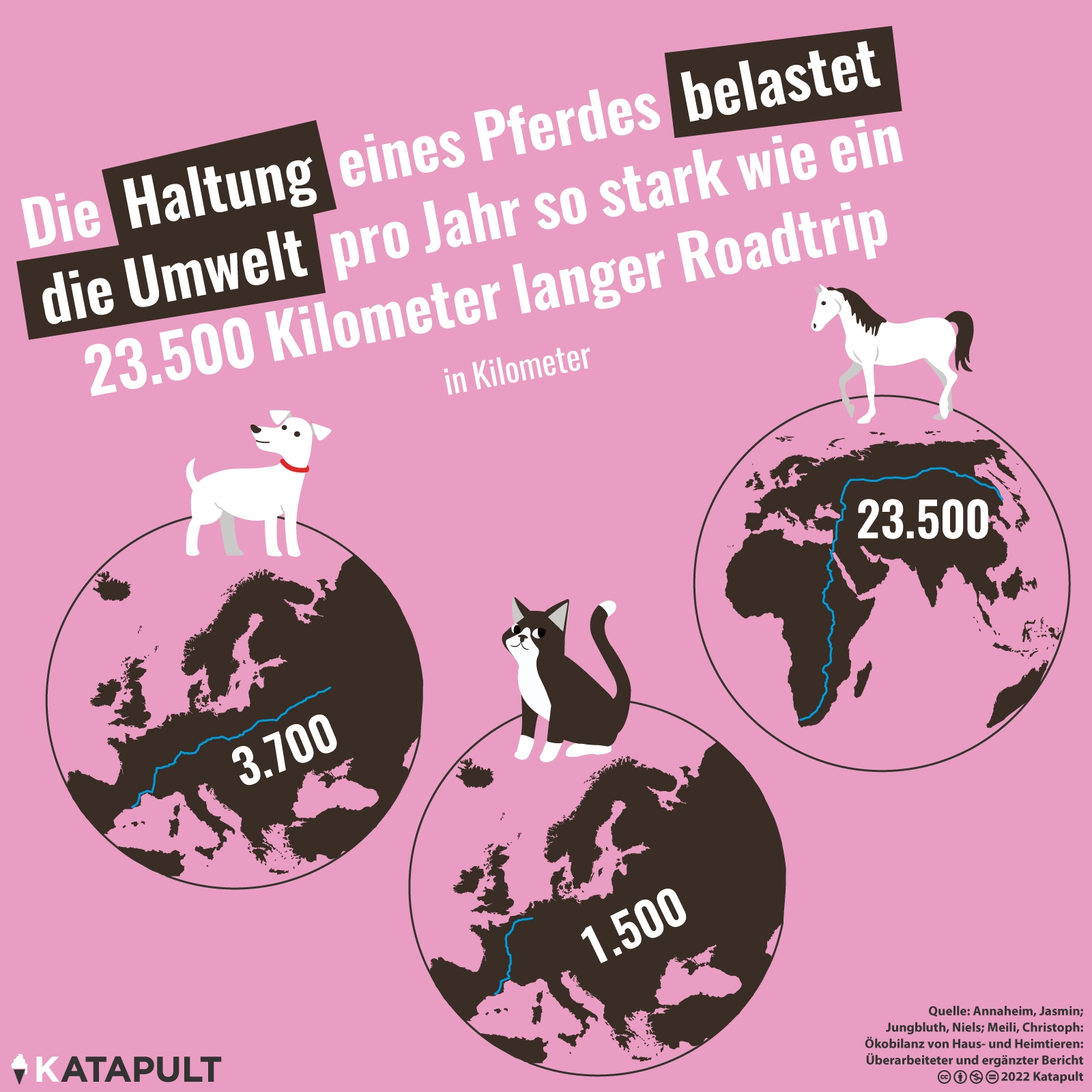 Zwei Pferde = eine Weltumrundung
